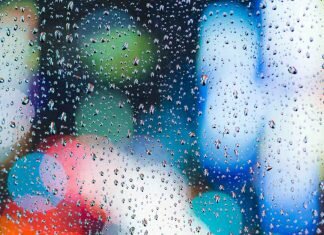 raindrops on bokeh background