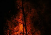 wildfire as metaphor for sexual assault photo by Benjamin Lizardo